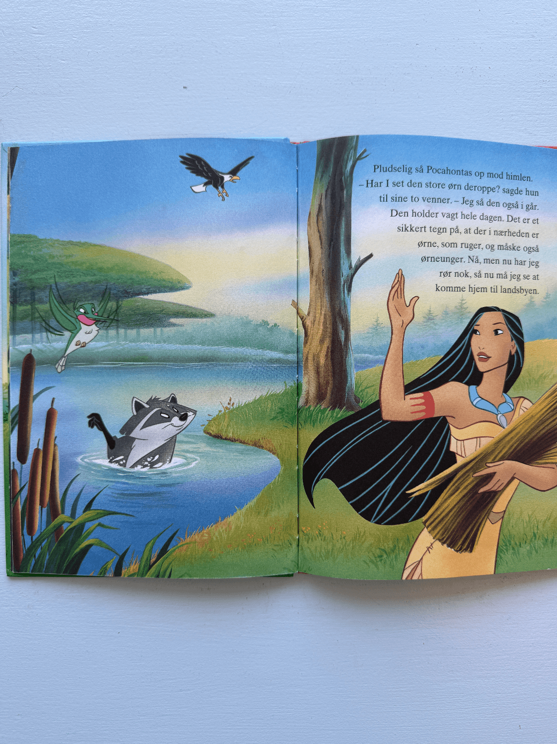 Pocahontas og den vrede ørn bog