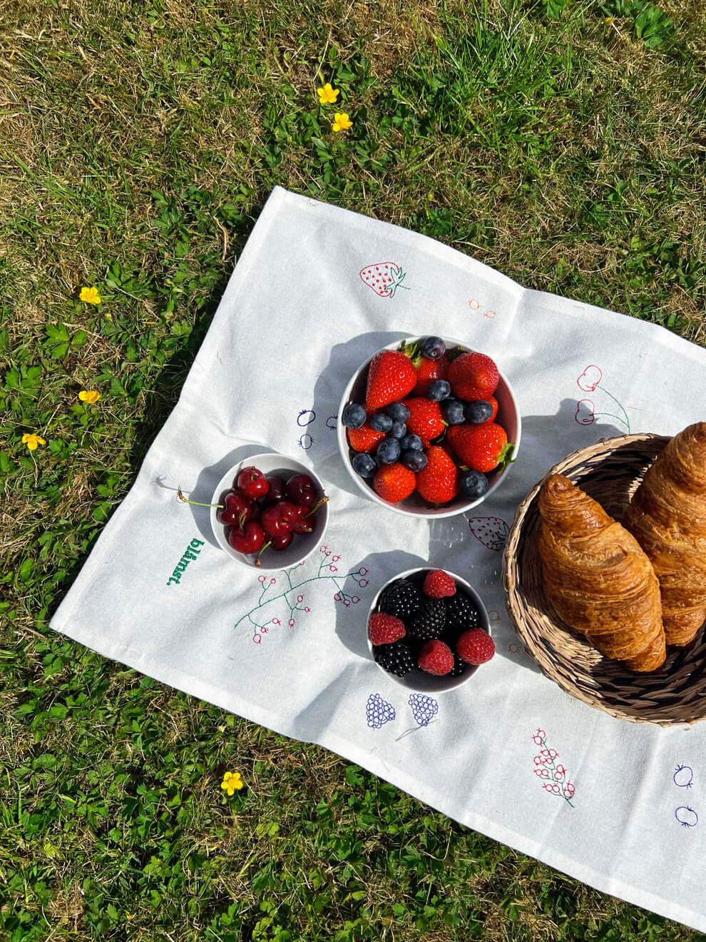 Berry Viskestykke