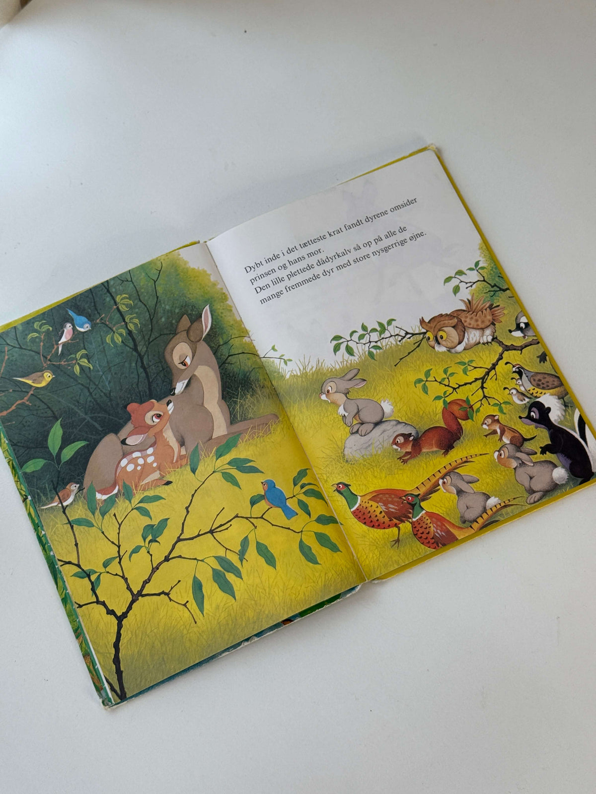 Bambi vokser op bog