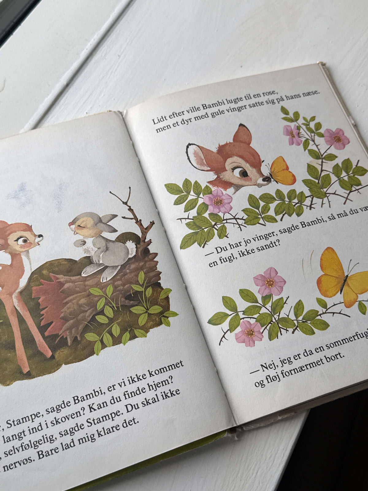Bambi finder hjem bog