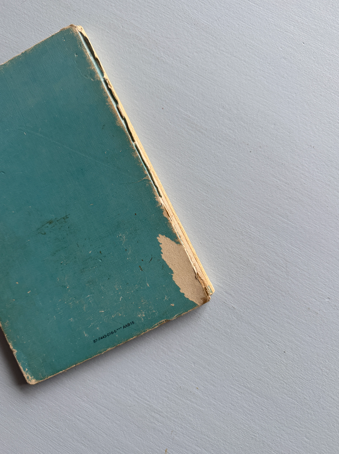 Lille Hiawatha og den store fisk bog