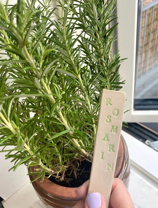 Plantepinde (purløg)