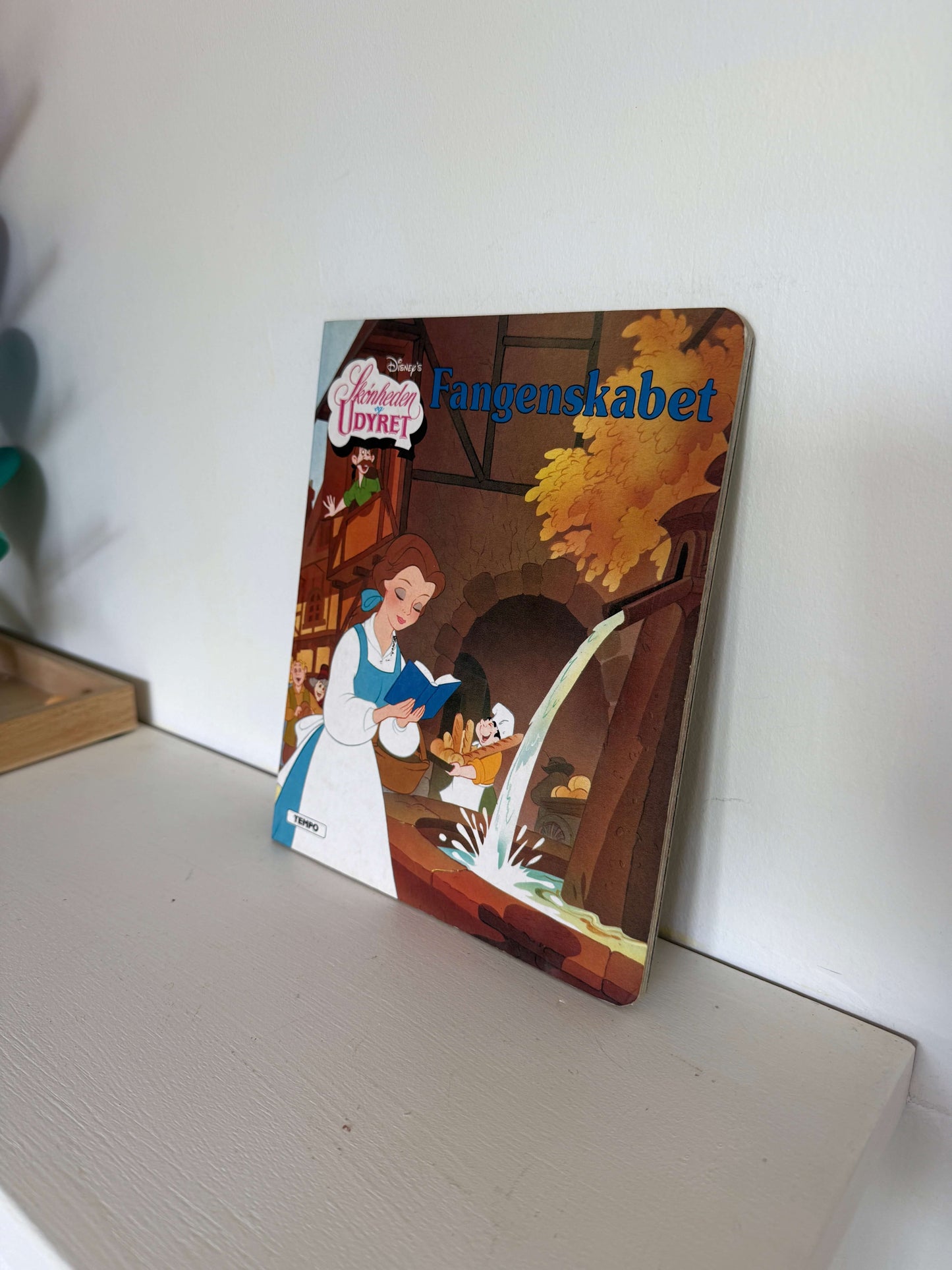 Fangenskabet bog