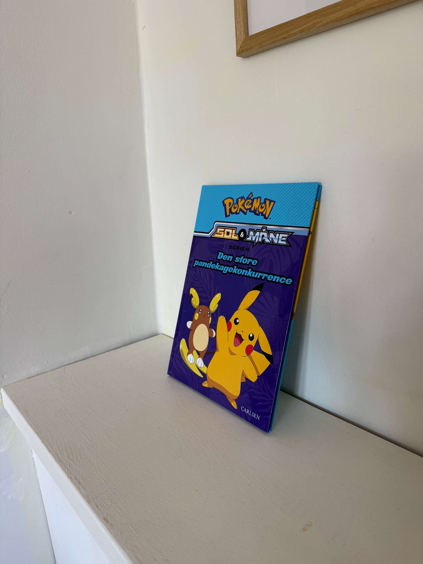 Den store pandekagekonkurrence Pokémon bog