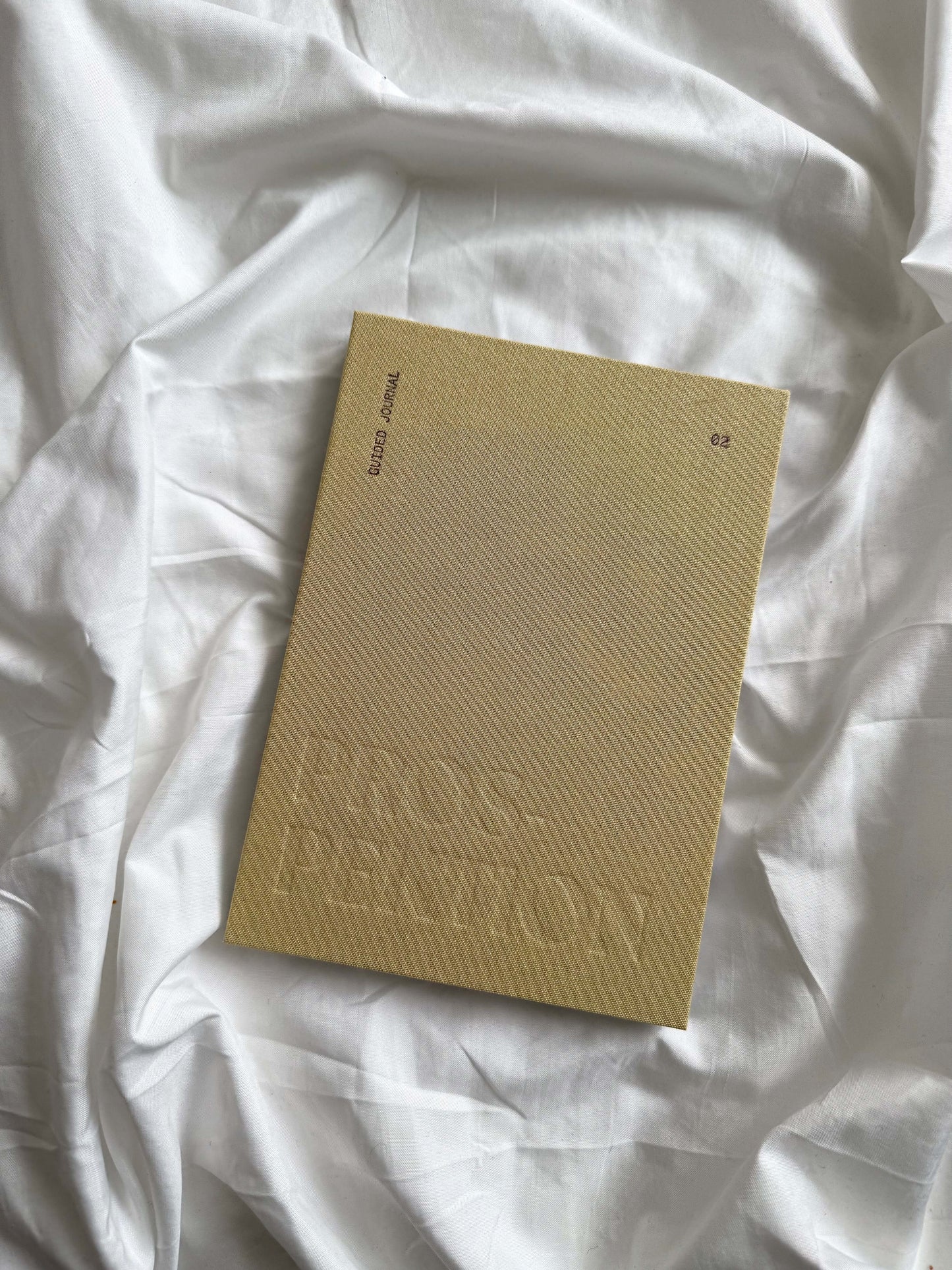 Guided Journal - Prospektion