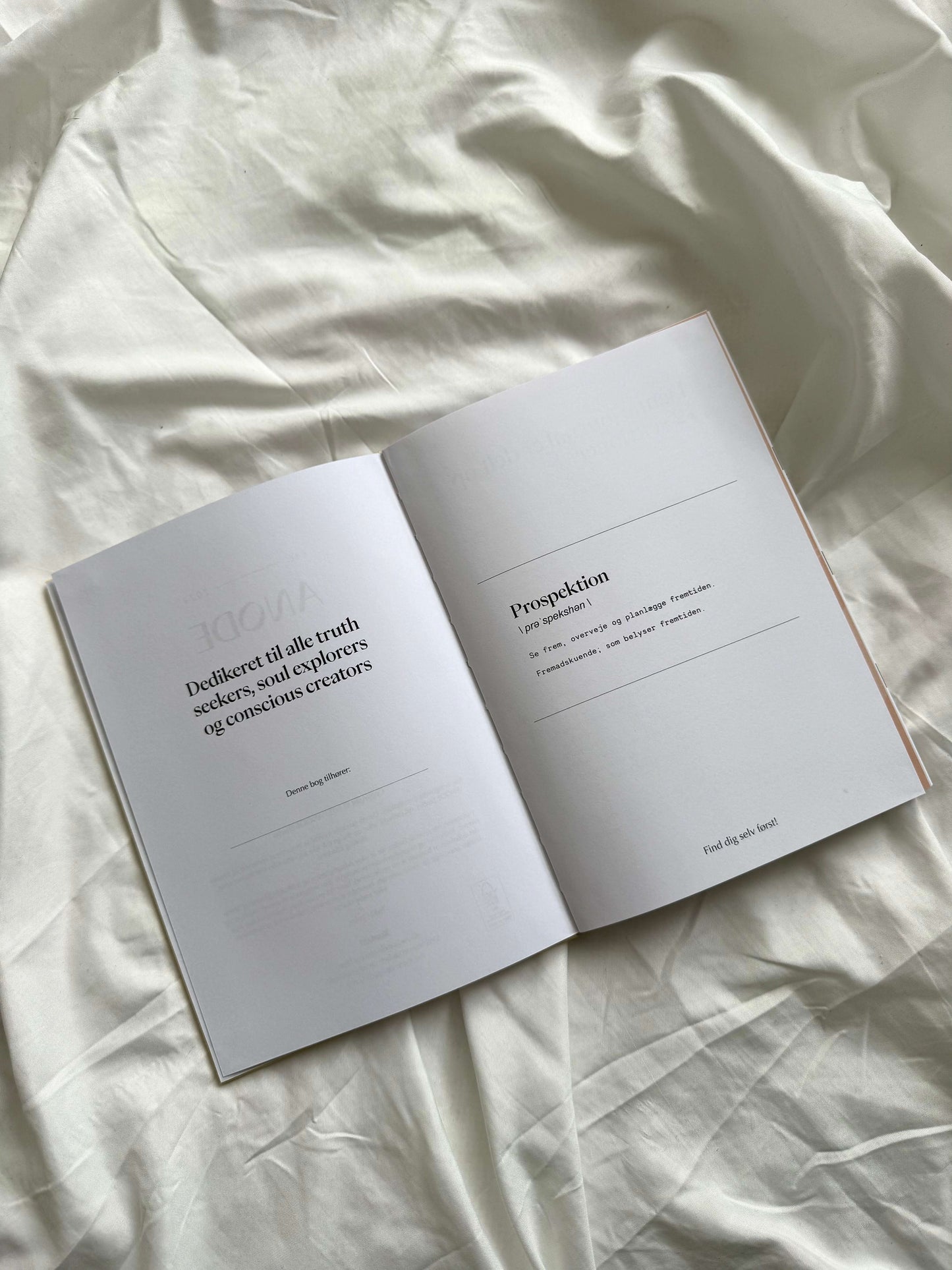 Guided Journal - Prospektion