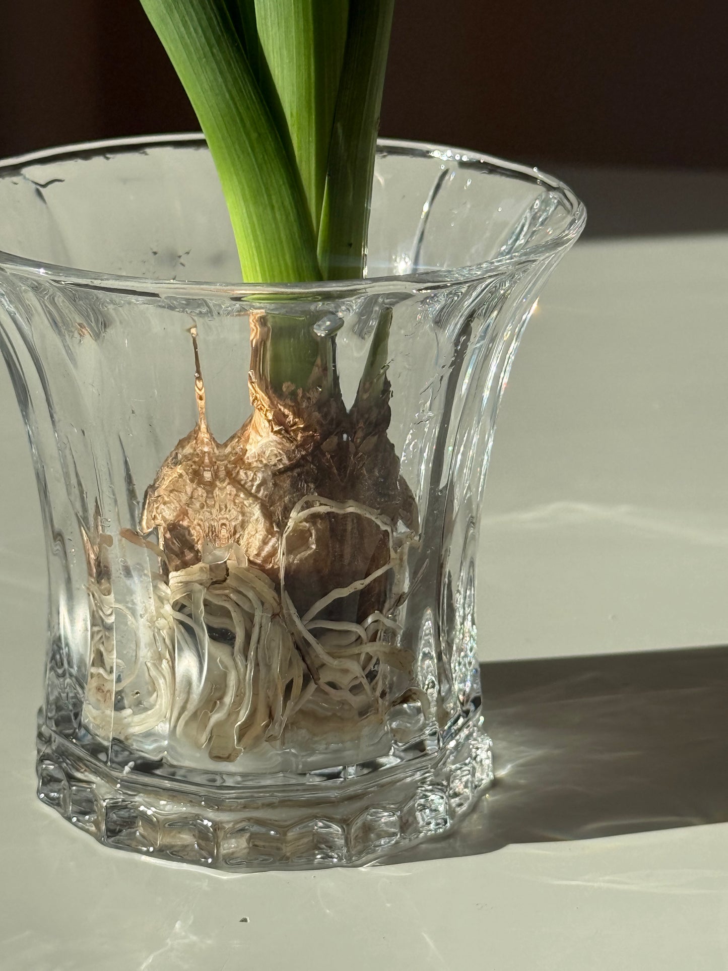 Lille bred vase