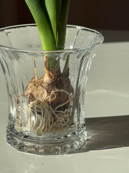 Lille bred vase