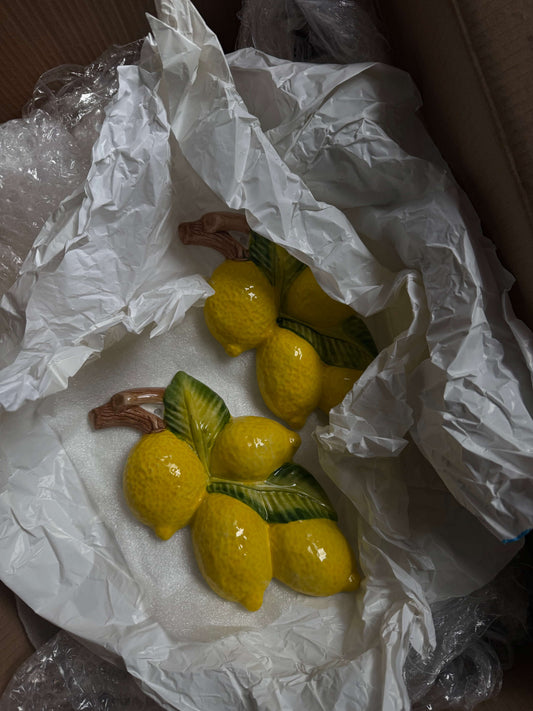 Væghængte Keramikcitroner