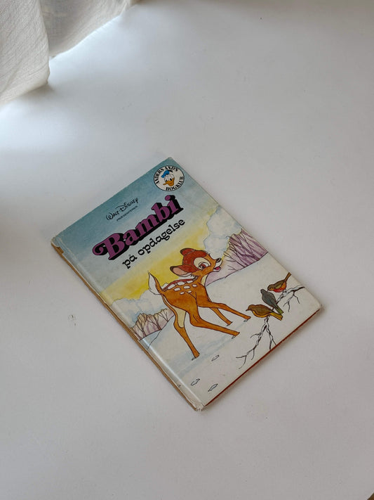 Bambi på opdagelse bog