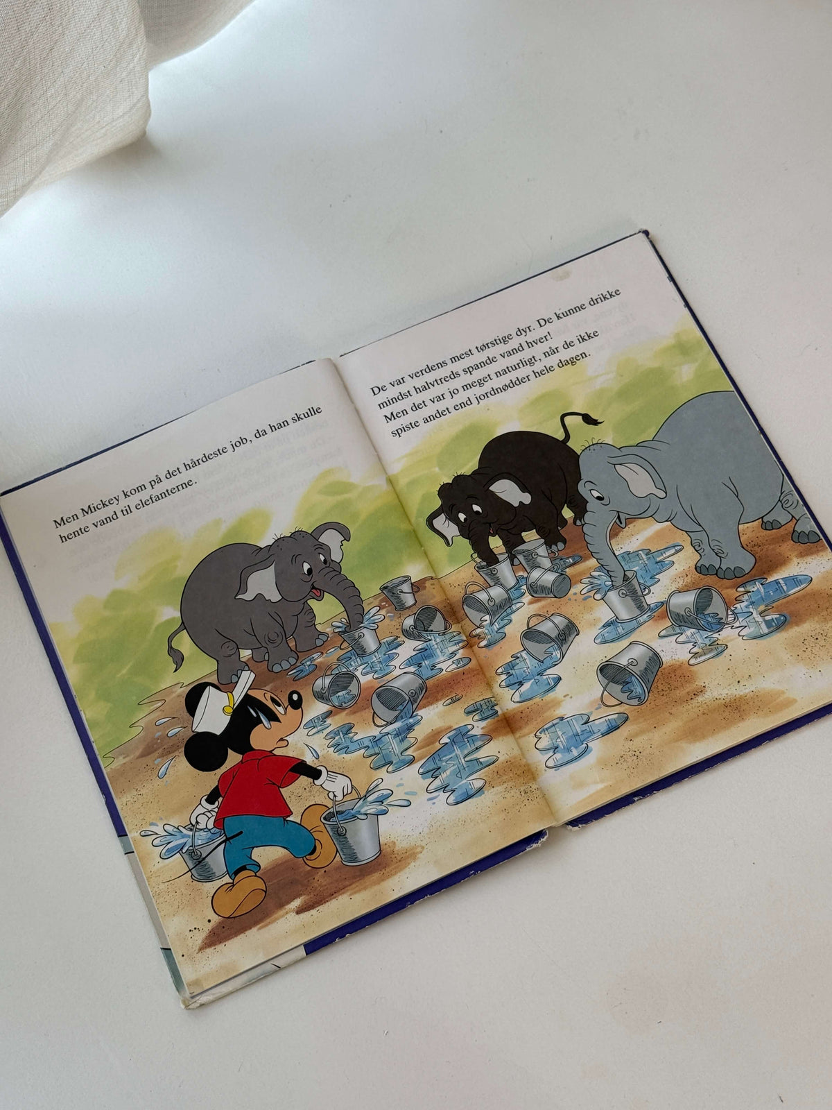 Mickey Mouse i cirkus bog