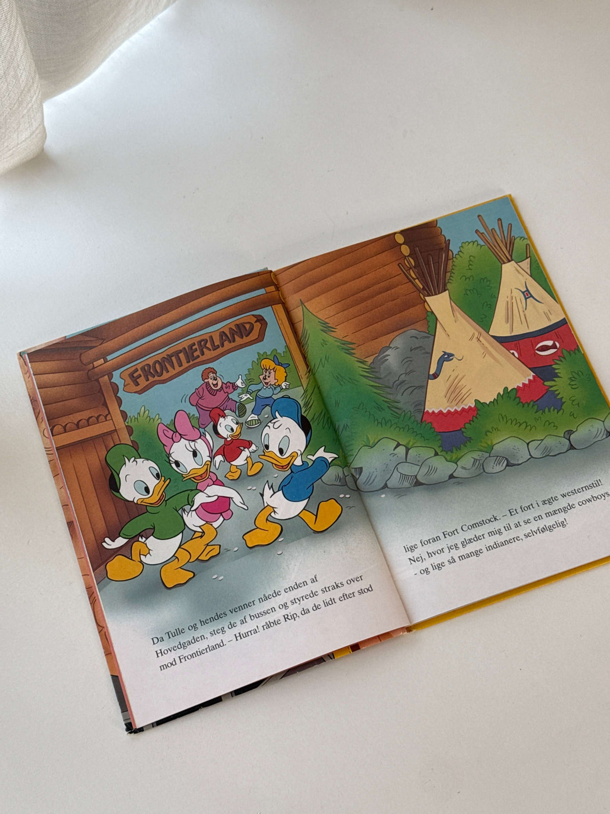 DuckTales – En dag i Euro Disneyland bog