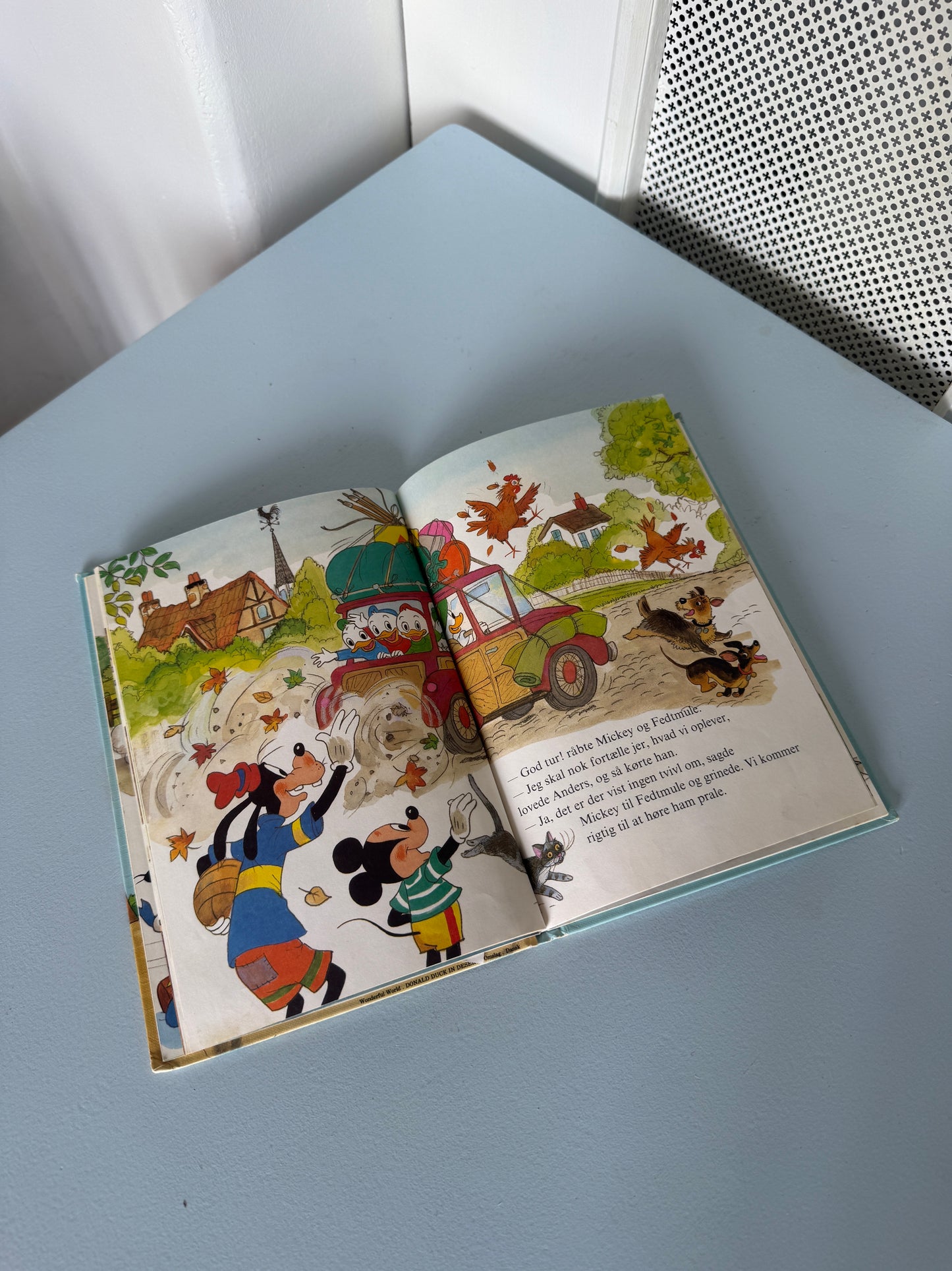 Anders And som mesterfotograf – Disney børnebog