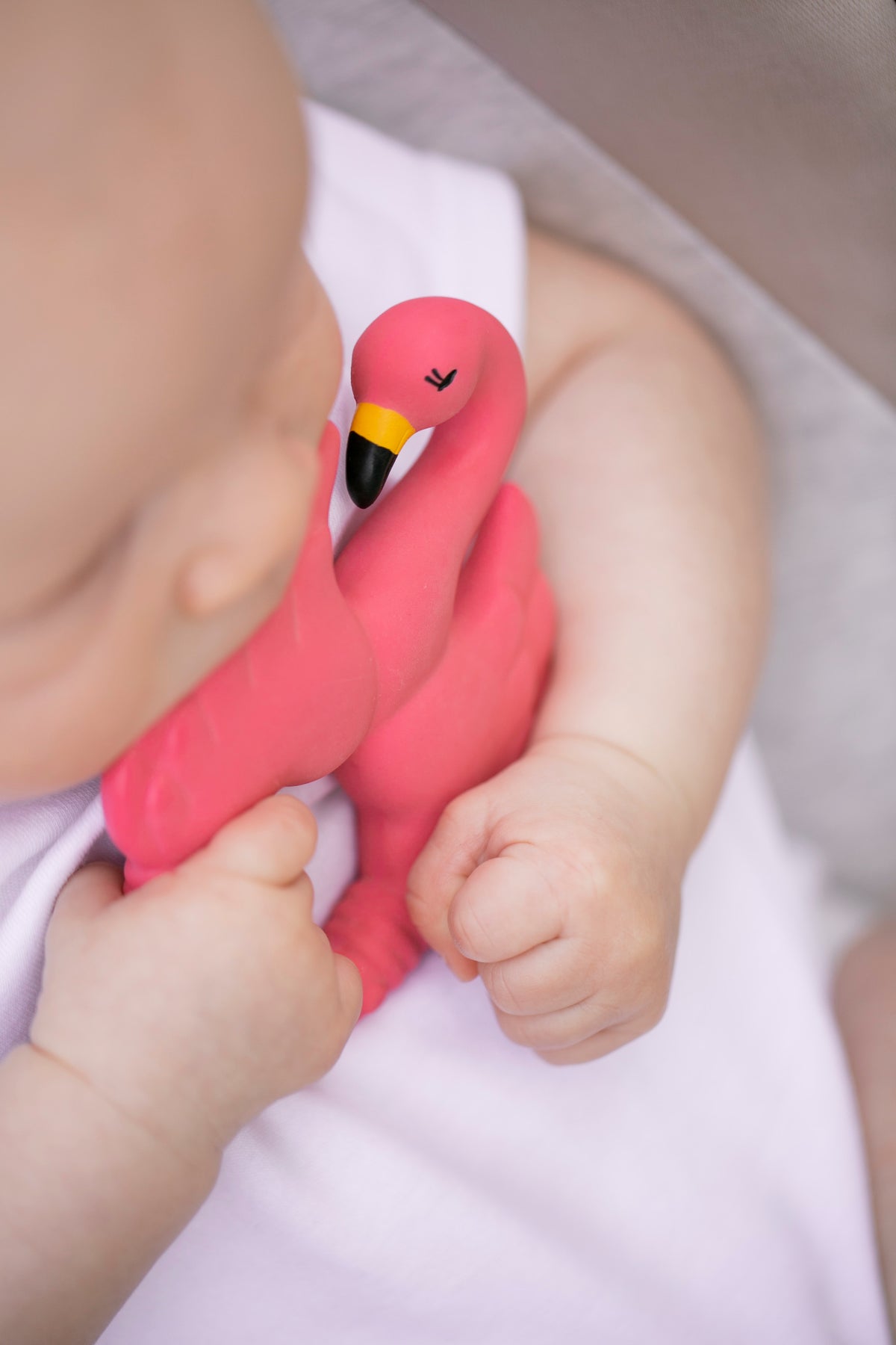 Flamingo bidering