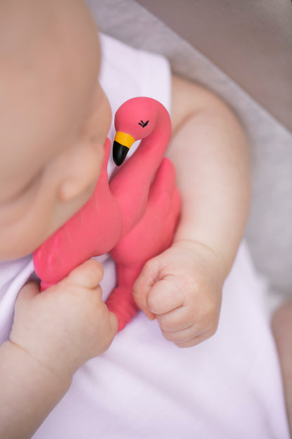 Flamingo bidering