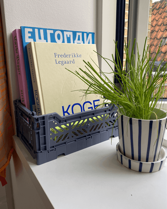 Aykasa Mini foldekasse på vindueskarm, brugt til opbevaring af bøger ved siden af en stribet urtepotte med grøn plante.