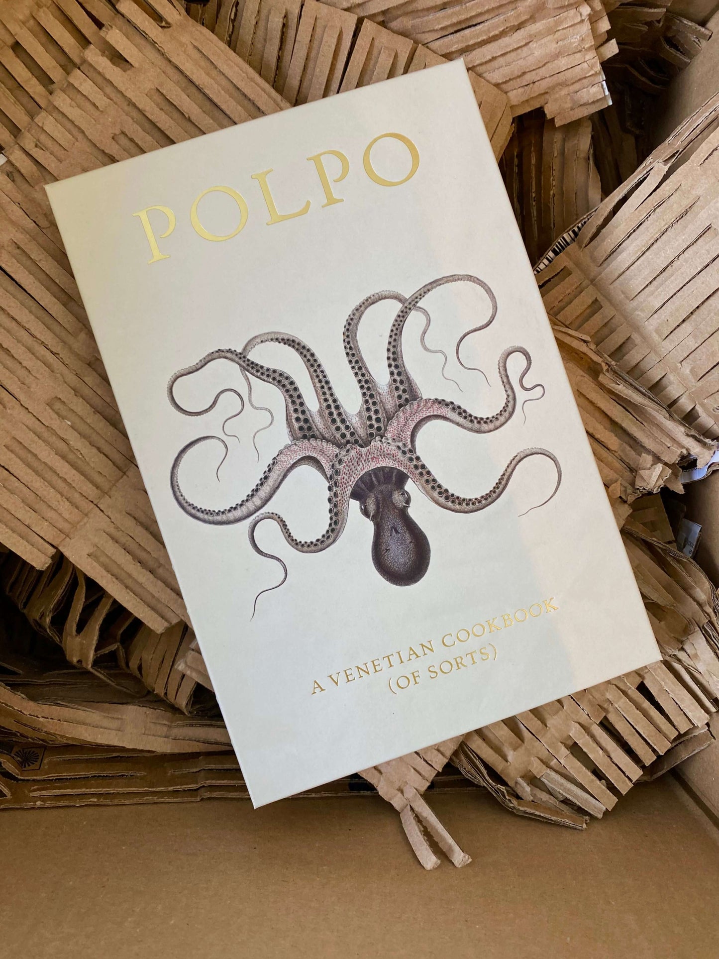 Detaljebillede af 'POLPO', en kogebog med enkle og innovative retter fra Venedigs baggader.