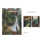 Kinfolk Garden